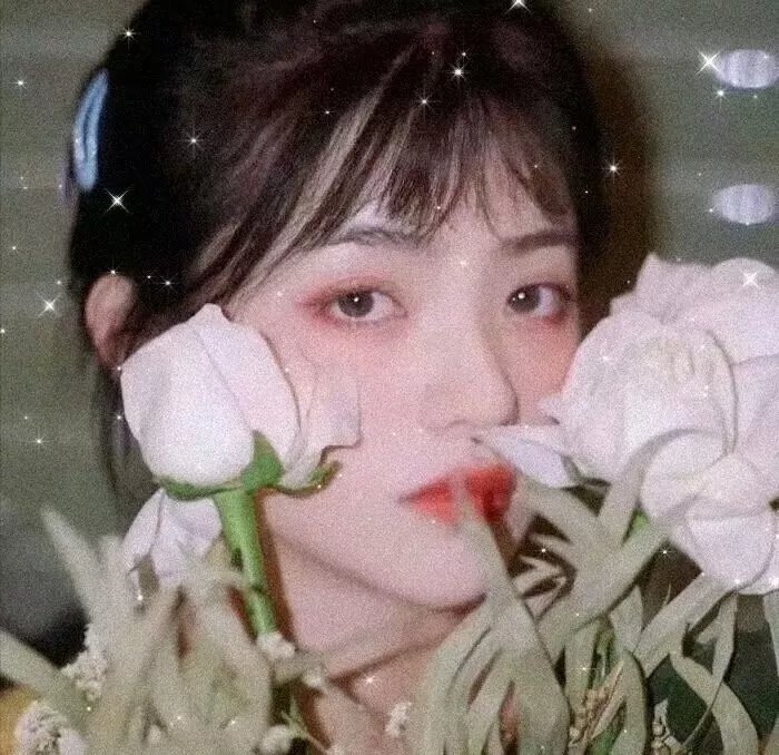 战地莺花
